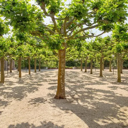 Hotel Dolce By Wyndham Bad Nauheim