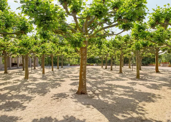 Hotel Dolce By Wyndham Bad Nauheim